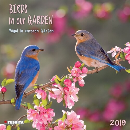 Birds in Our Garden 2019 (Calendar)