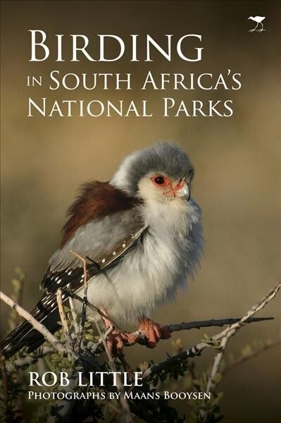 Birding in South Africas National Parks (Paperback)