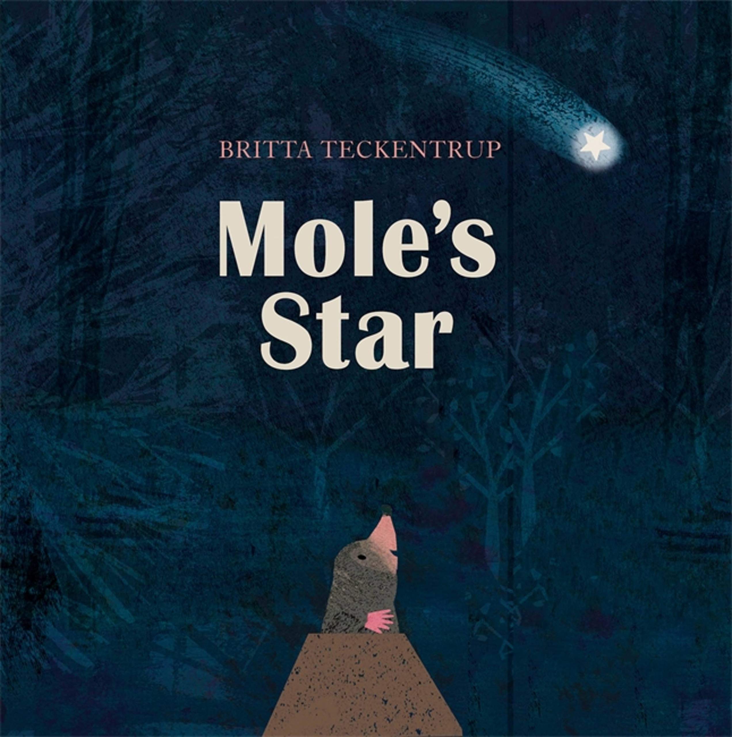 [중고] Mole‘s Star (Paperback)