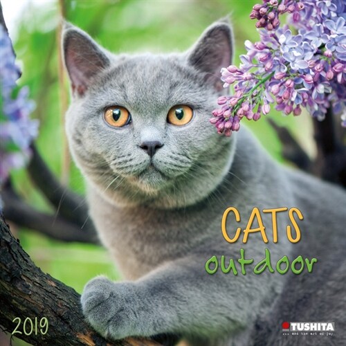 Cats Outdoors 2019 (Calendar)