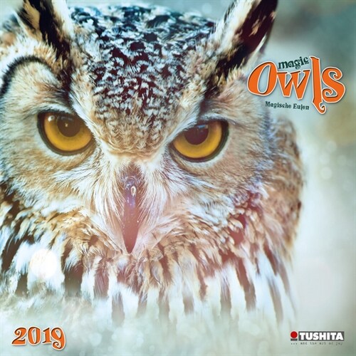 Magic Owls 2019 (Calendar)