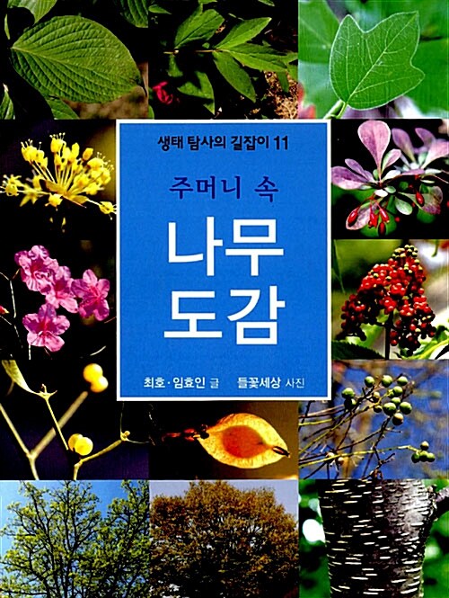 [중고] 주머니 속 나무 도감