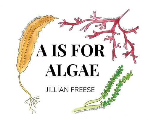 A is for Algae (Hardcover)