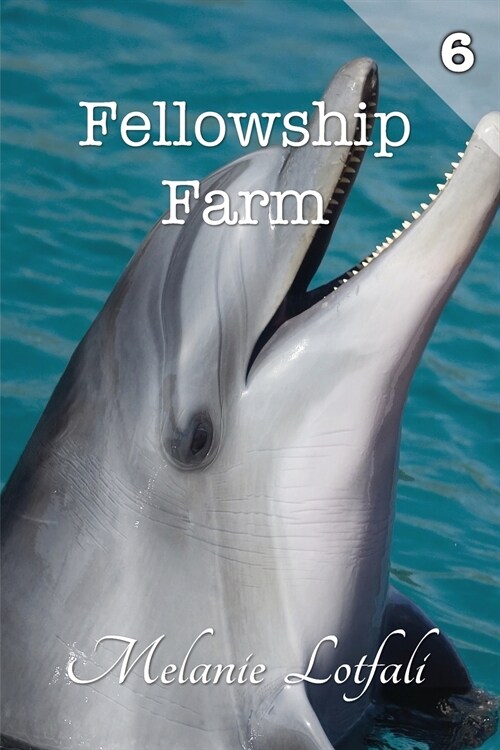 Fellowship Farm 6: Books 16-18 (Paperback, Version)