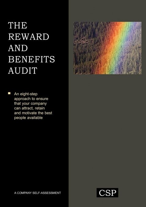 The Reward and Benefits Audit (Paperback)