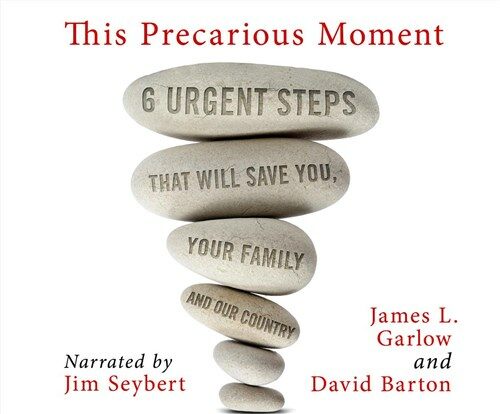 This Precarious Moment: Six Urgent Steps That Will Save You, Your Family, and Our Country (Audio CD)