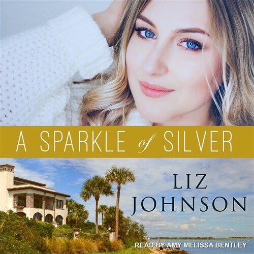 A Sparkle of Silver (MP3 CD)