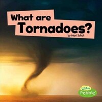 What Are Tornadoes? (Paperback)