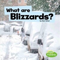 What Are Blizzards? (Paperback)