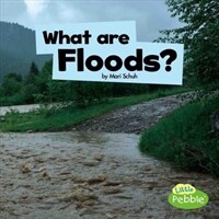 What Are Floods? (Paperback)