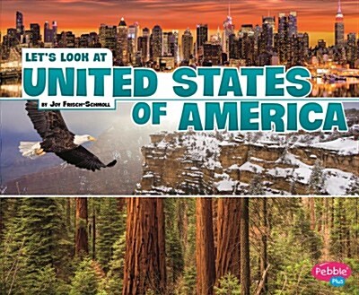 Lets Look at the United States of America (Paperback)