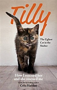 Tilly: The Ugliest Cat : How I Rescued Her and She Rescued Me (Paperback)