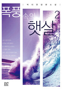 폭풍 속의 햇살 :박미연 장편소설