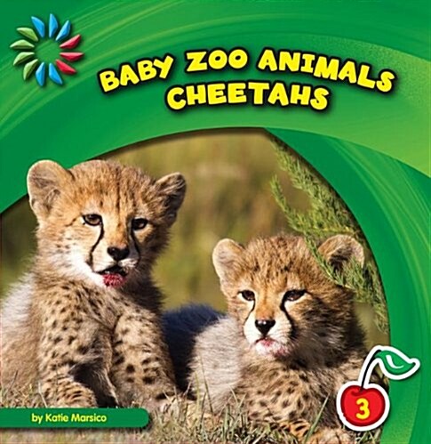 Cheetahs (Paperback)