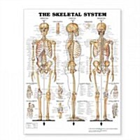 The Skeletal System Giant Chart (Other)