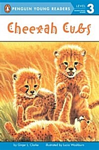 [중고] Cheetah Cubs (Paperback)
