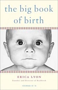 The Big Book of Birth (Paperback)
