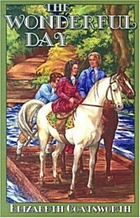 The Wonderful Day (Paperback)