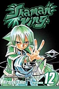 Shaman King Volume 12 (Paperback)