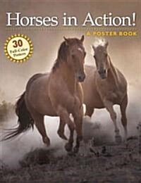 Horses in Action!: A Poster Book (Paperback)