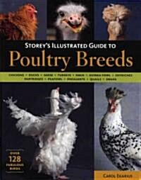 Storeys Illustrated Guide to Poultry Breeds: Chickens, Ducks, Geese, Turkeys, Emus, Guinea Fowl, Ostriches, Partridges, Peafowl, Pheasants, Quails, S (Paperback)