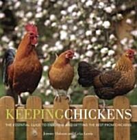 Keeping Chickens (Paperback)