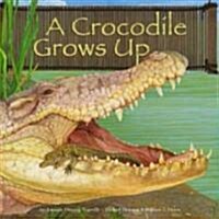 A Crocodile Grows Up (Library)