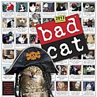 Bad Cat 2013 Calendar (Paperback, Wall)