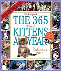 The 365 Days of Kittens a Year 2013 Calendar (Paperback, Wall)