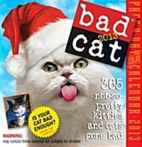 Bad Cat Calendar 2013 (Hardcover, Page-A-Day )