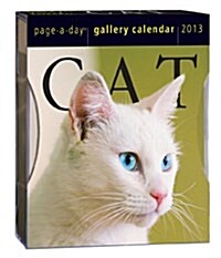 Cat Gallery 2013 Calendar (Disk, Page-A-Day )