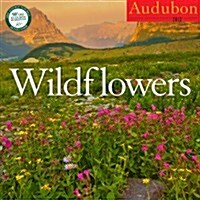 Audubon Wildflowers Calendar 2013 (Paperback, Wall)