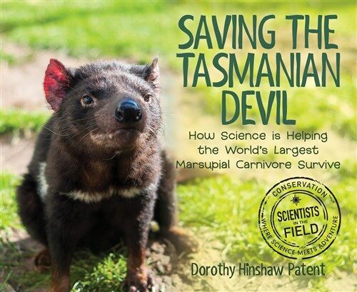 Saving the Tasmanian Devil: How Science Is Helping the Worlds Largest Marsupial Carnivore Survive (Hardcover)