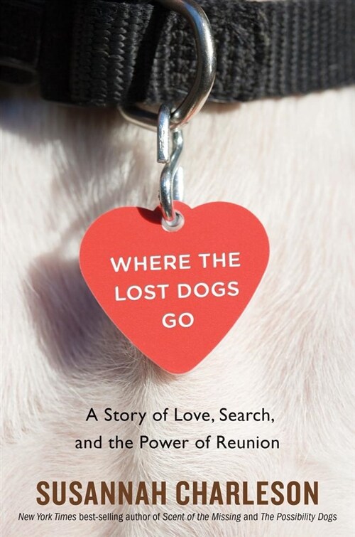 Where the Lost Dogs Go: A Story of Love, Search, and the Power of Reunion (Hardcover)