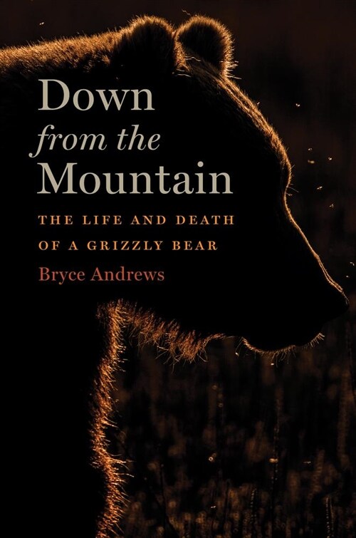 [중고] Down from the Mountain: The Life and Death of a Grizzly Bear (Hardcover)