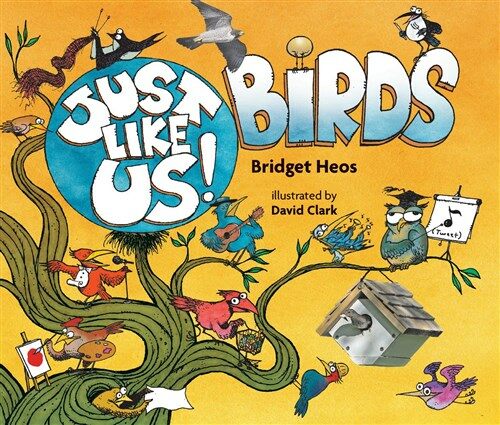 Just Like Us! Birds (Paperback)