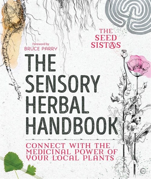 The Sensory Herbal Handbook : Connect with the Medicinal Power of Your Local Plants (Paperback)
