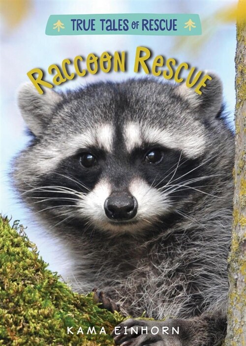 Raccoon Rescue (Hardcover)