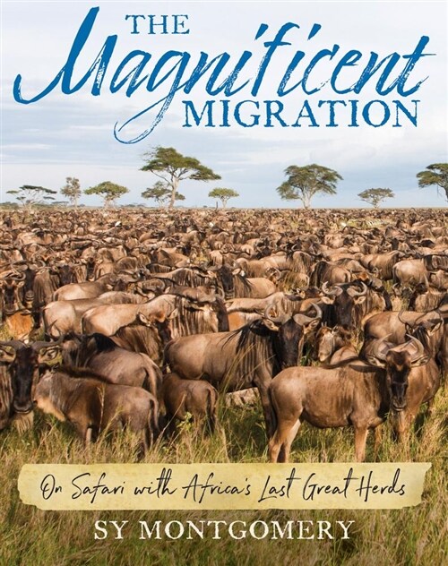 The Magnificent Migration: On Safari with Africas Last Great Herds (Hardcover)