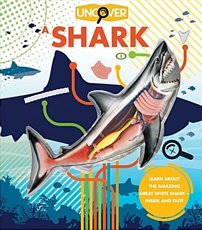 Uncover a Shark (Hardcover)