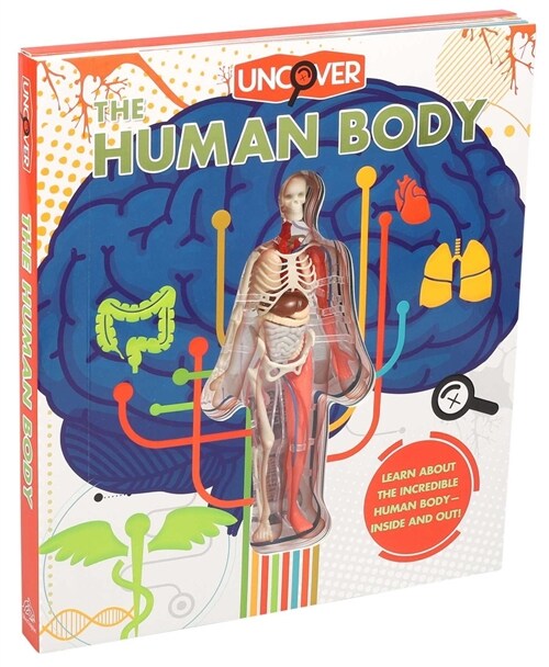 [중고] Uncover the Human Body (Hardcover)