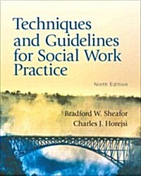 Techniques and Guidelines for Social Work Practice (Paperback, 9th, PCK)