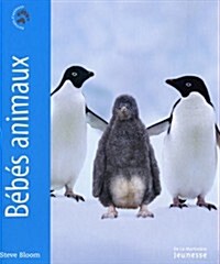 BBs Animaux (Paperback)