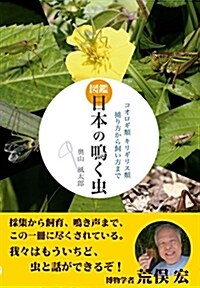 圖解日本の鳴く蟲 (A5)