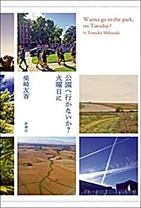 公園へ行かないか？火曜日に (46)