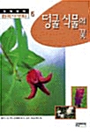 [중고] 덩굴 식물의 꽃