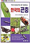 [중고] 한국의 곤충 - 원색도감