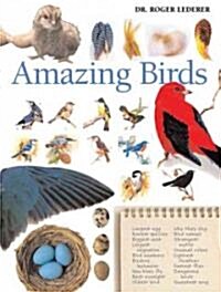 Amazing Birds (Paperback)