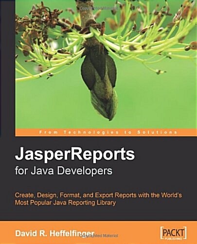 JasperReports for Java Developers (Paperback)