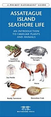 Assateague/Chincoteague Seashore Life: A Folding Pocket Guide to Familiar Species (Other)